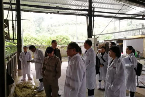 201904161646594659 东升国际(中国区) - 官方网站