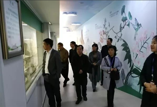201904161648284828 东升国际(中国区) - 官方网站